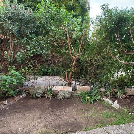 Appartamento Con Giardino A 50 M Dal Mare LʼÎle-Rousse 外观 照片