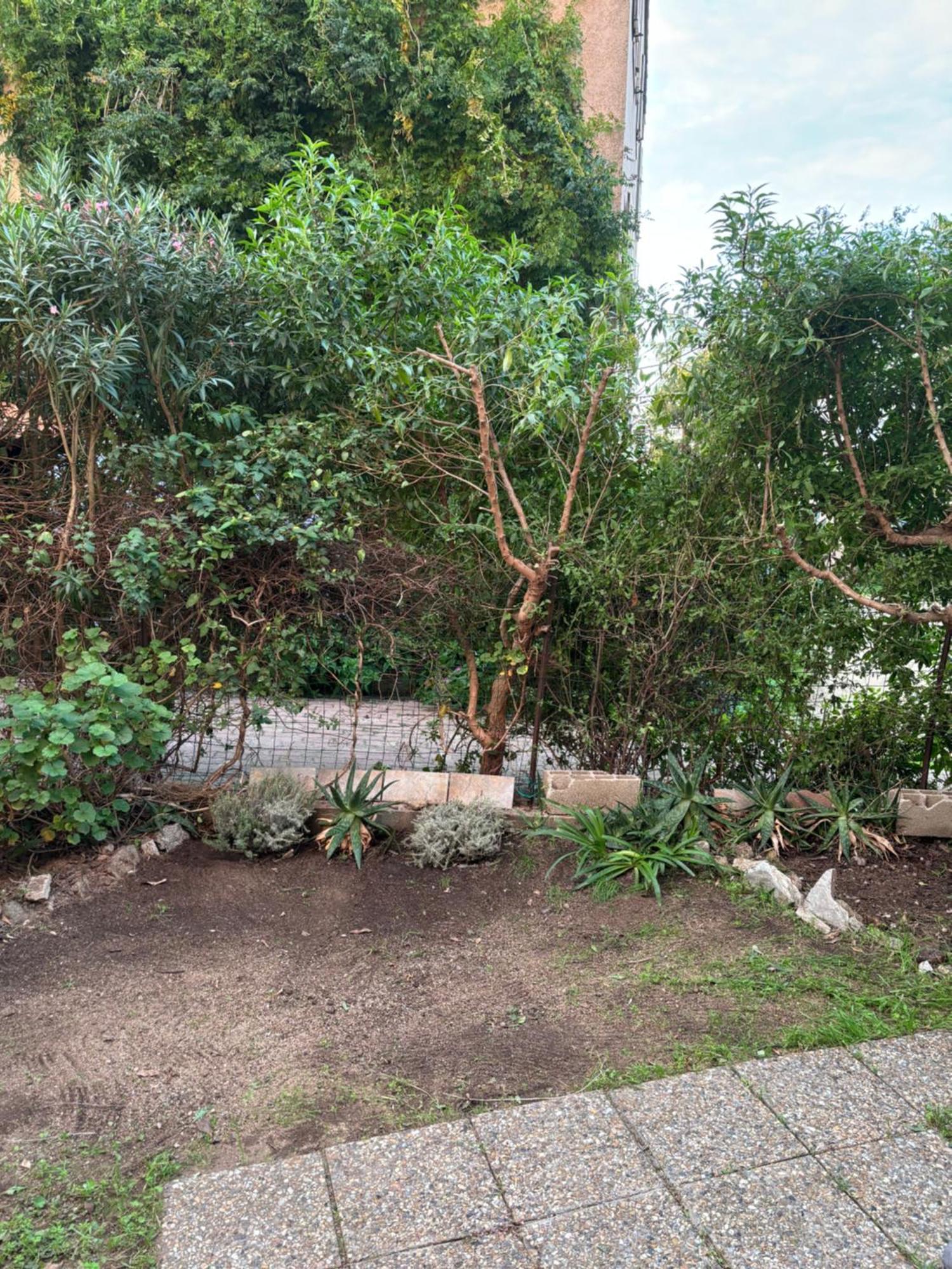 Appartamento Con Giardino A 50 M Dal Mare LʼÎle-Rousse 外观 照片